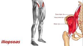 McHenry Back Pain and Iliopsoas Muscle Link