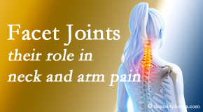 OrthoIllinois Chiropractic carefully examines, diagnoses, and treats cervical spine facet joints for neck pain relief when they are involved.