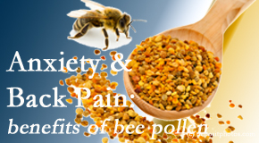 OrthoIllinois Chiropractic presents info on the benefits of bee pollen on cognitive function that may be impaired when dealing with back pain.