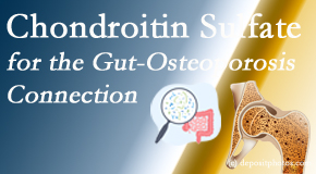OrthoIllinois Chiropractic shares new research linking microbiota in the gut to chondroitin sulfate and bone health and osteoporosis. 