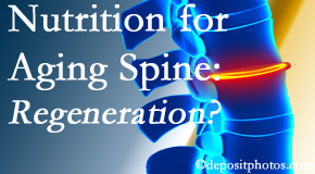 OrthoIllinois Chiropractic sets individual treatment plans for patients with disc degeneration, a consequence of normal aging process, that eases back pain and holds hope for regeneration. 