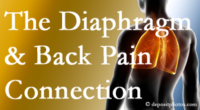 OrthoIllinois Chiropractic recognizes the relationship of the diaphragm to the body and spine and back pain. 