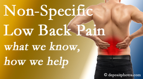 OrthoIllinois Chiropractic share the specific characteristics and treatment of non-specific low back pain. 