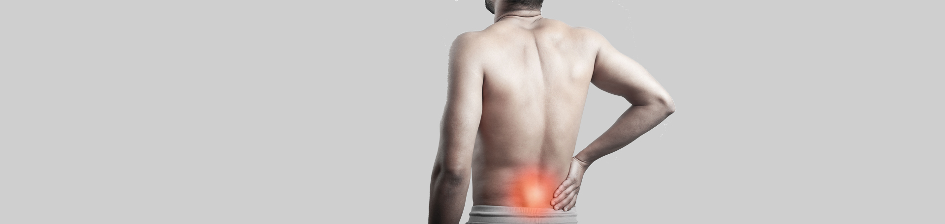 McHenry back paraspinal muscles