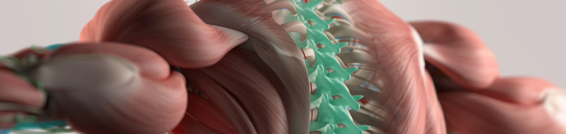McHenry thoracic spine