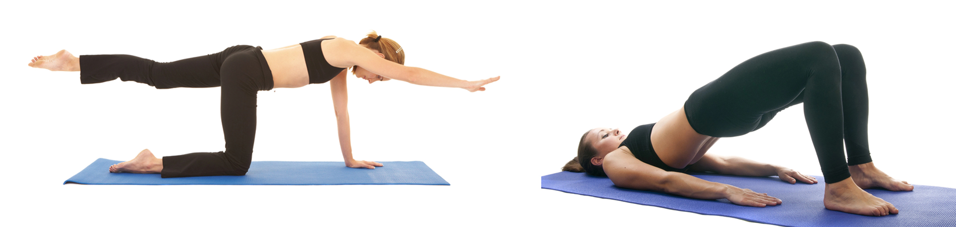 McHenry chiropractic exercise to strengthen multifidus 