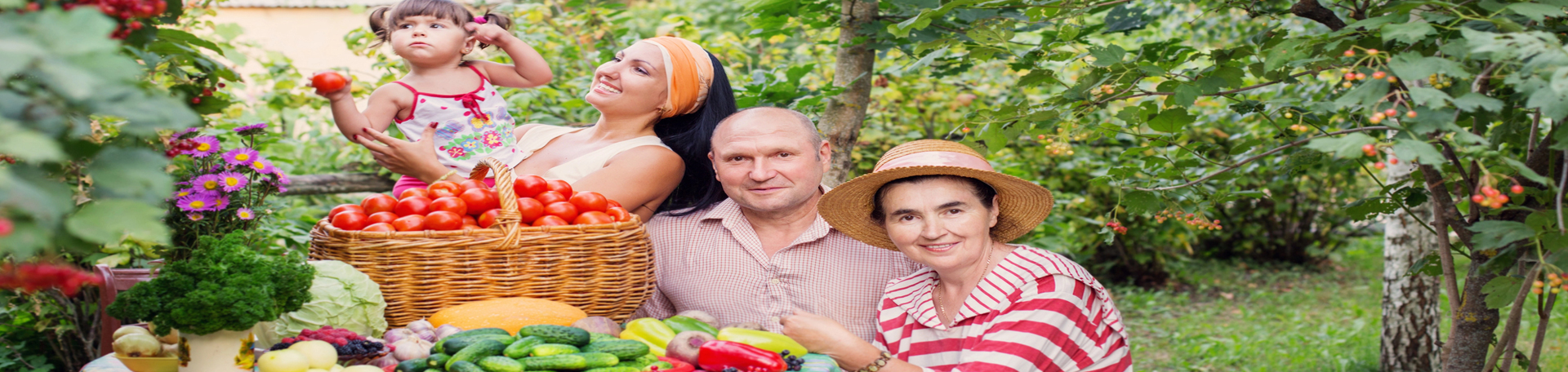  McHenry chiropractic summer health tips