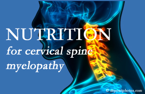 OrthoIllinois Chiropractic presents the nutritional factors in cervical spine myelopathy in its development and management.