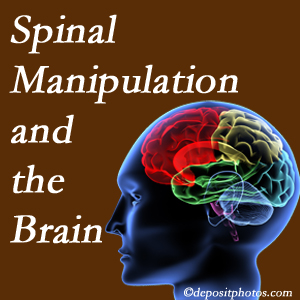 OrthoIllinois Chiropractic [presents research on the benefits of spinal manipulation for brain function. 