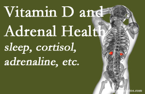 OrthoIllinois Chiropractic shares new research about the effect of vitamin D on adrenal health and function.